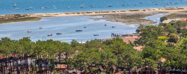 camping cap ferret